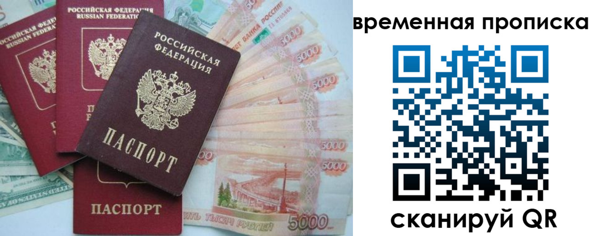 временная регистрация 2025 в Алексеевке